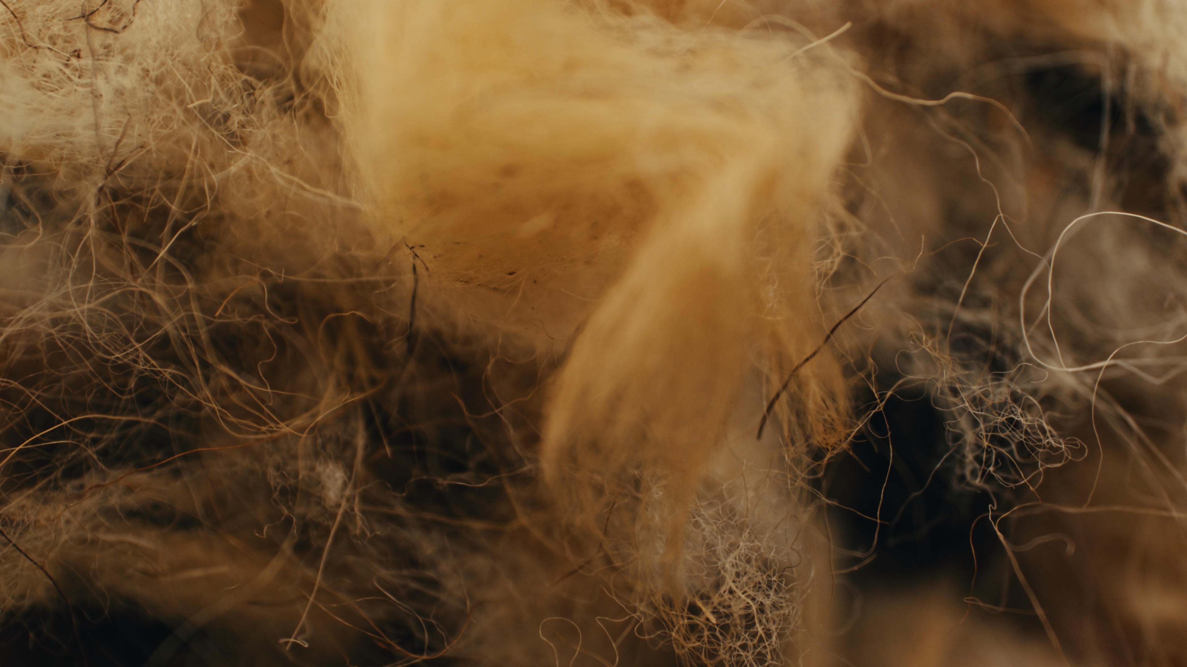 AEGEAN Wool