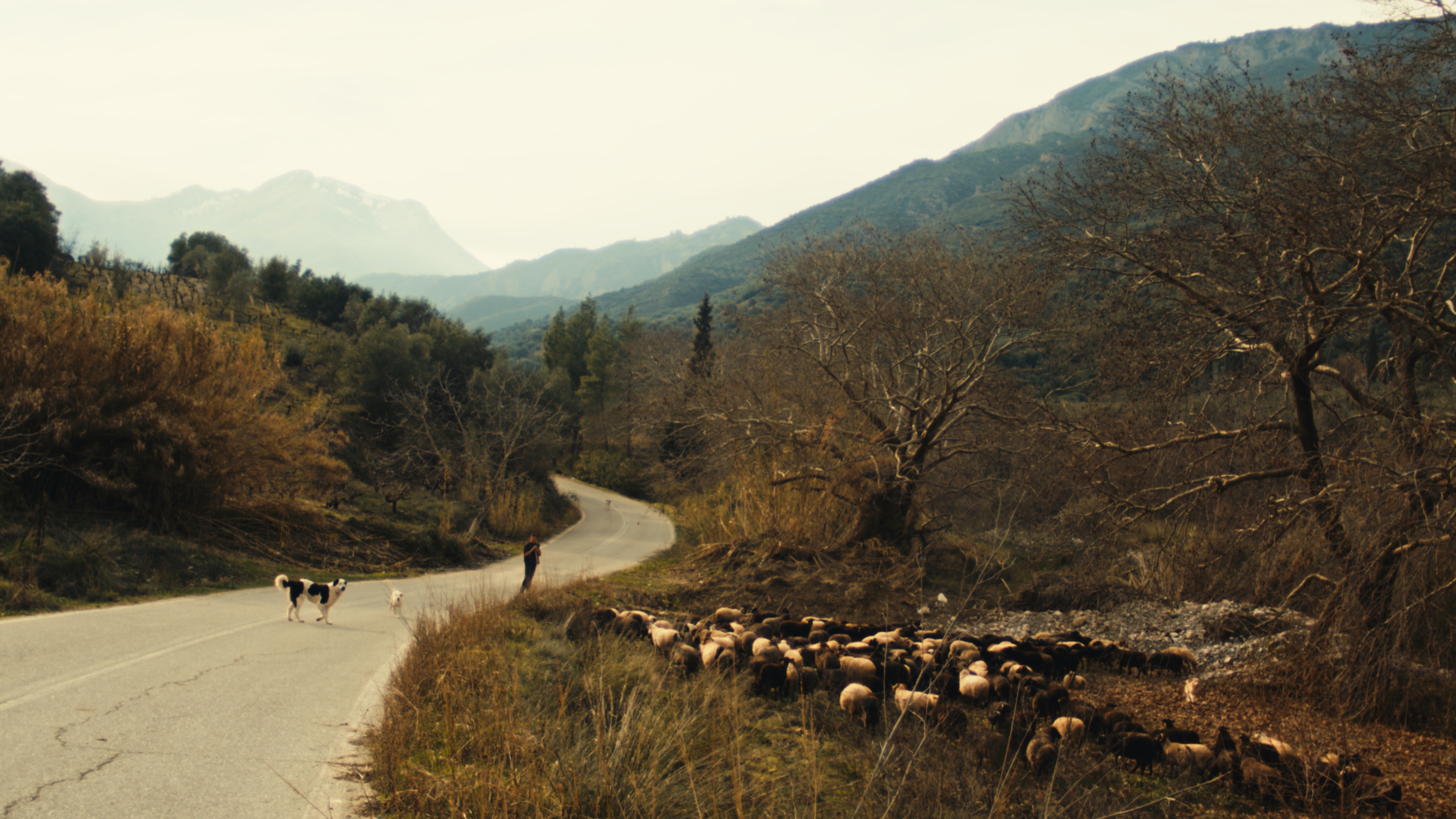 AEGEAN Wool